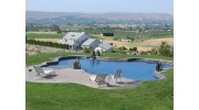 Custom Designed Pools